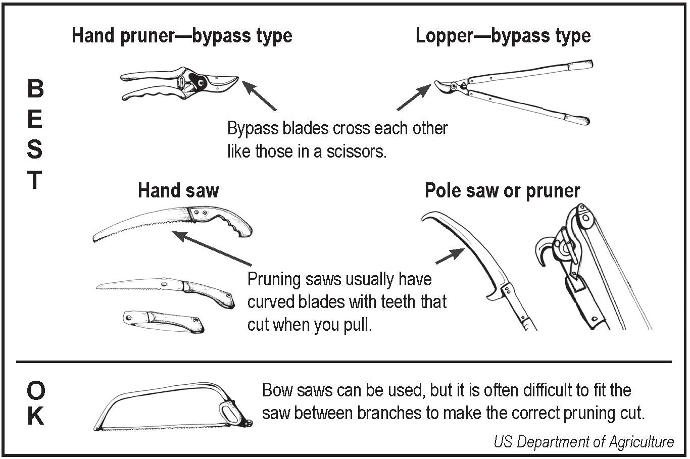 Pruning Tools