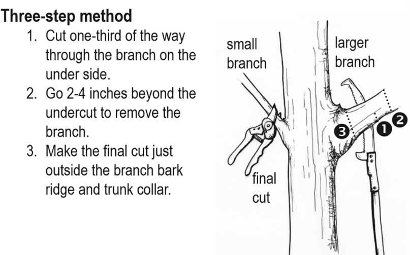 three step method