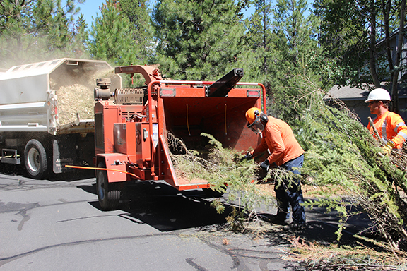 Crews pickup roadside ladder fuels