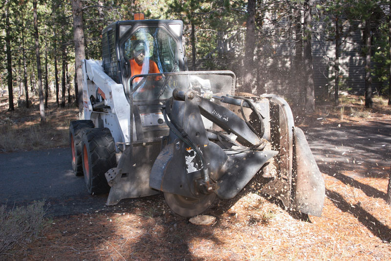 Stump grinding